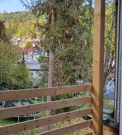 Sm3 Apartment Triberg im Schwarzwald Exterior photo